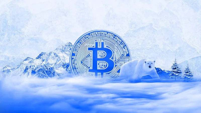 Built for Bear Season: How Tanuki Holders Weathered Every Crypto Storm and Came Out Ahead
